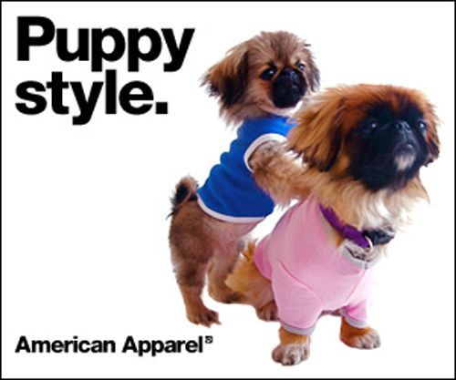 Advertising American Apparele, Ryan Holiday, Marketing Forum, Performance Strategies