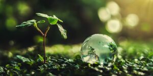 Sostenibilità e Competitività