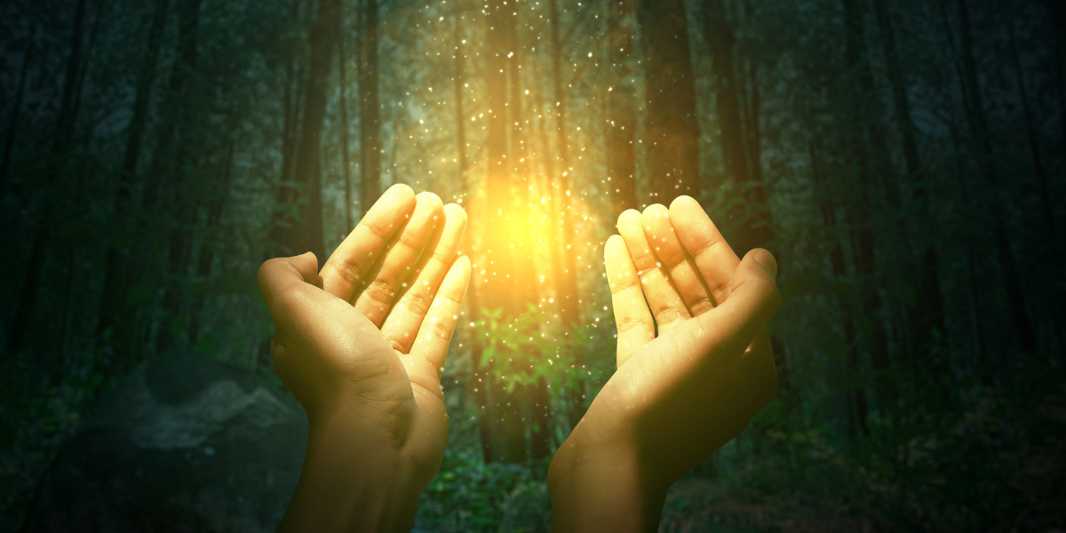 Hands igniting magic with wood on the background, a metaphor for the power of purpose